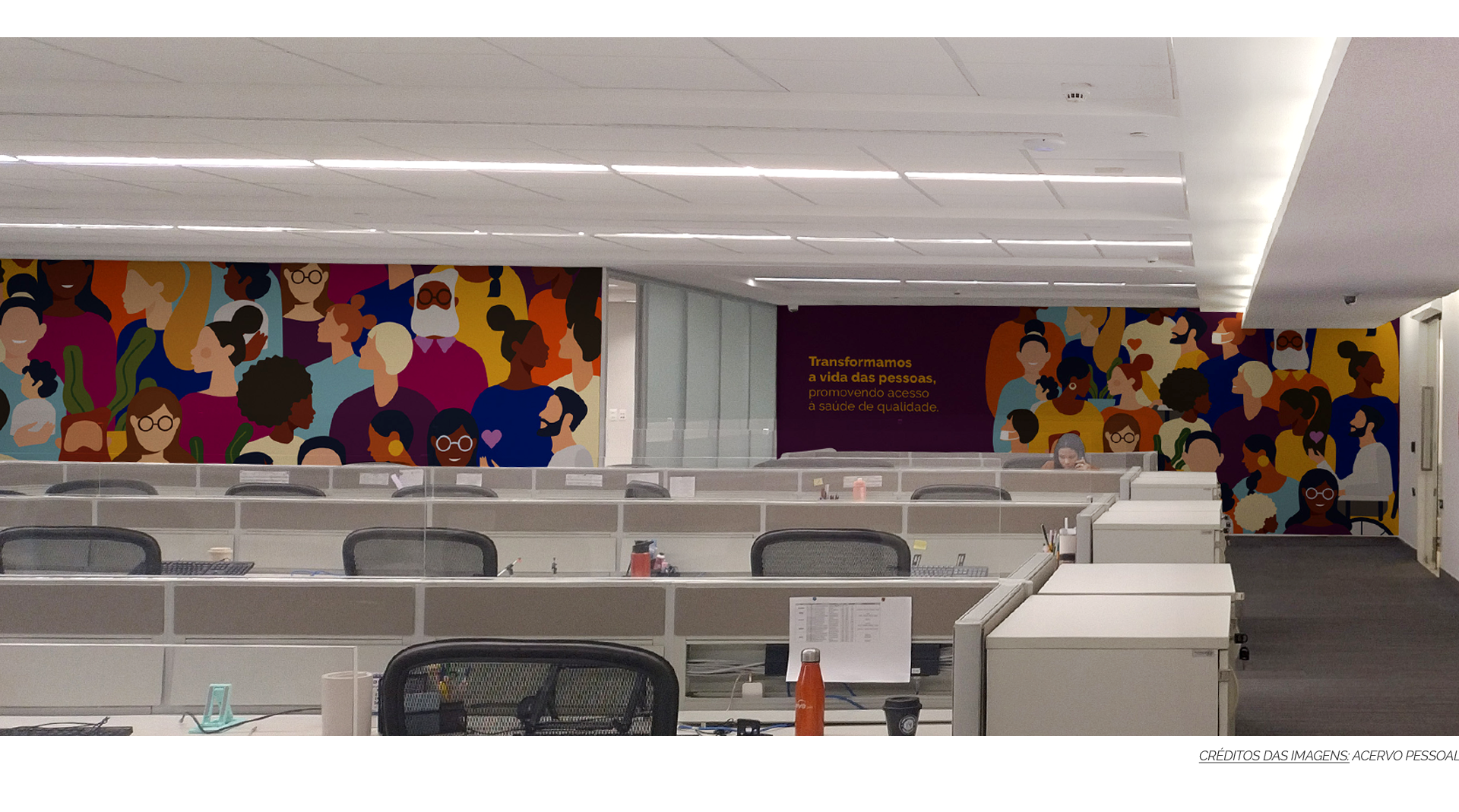 Branding, Material Gráfico, Projeto de Ambientação & Sinalização Leve Saúde